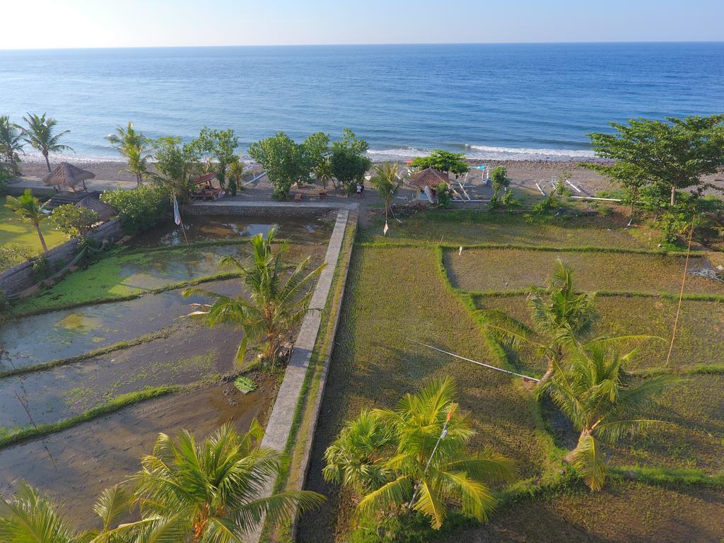 Taman Padi Villa آميدْ المظهر الخارجي الصورة