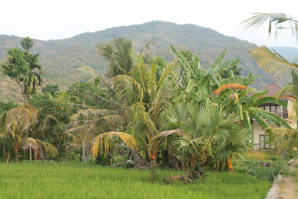 Taman Padi Villa آميدْ المظهر الخارجي الصورة